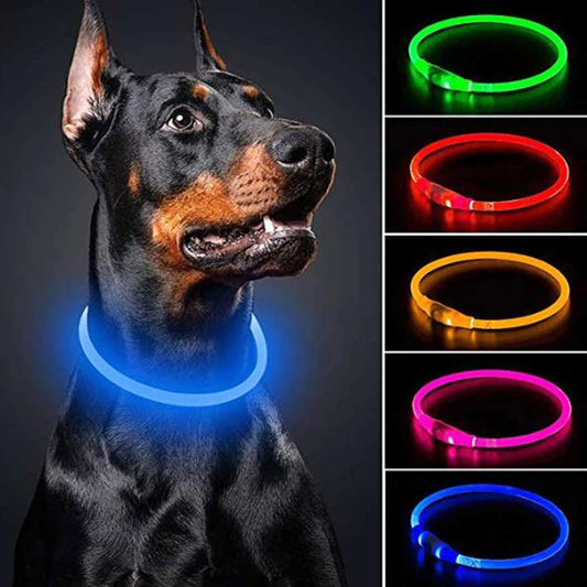 LED Hundehalsband