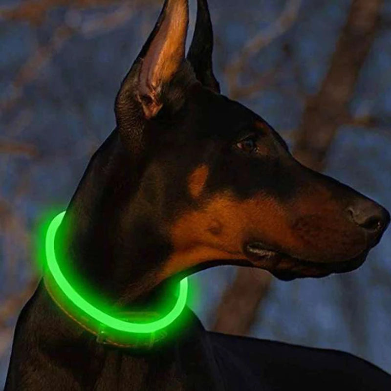 LED Hundehalsband